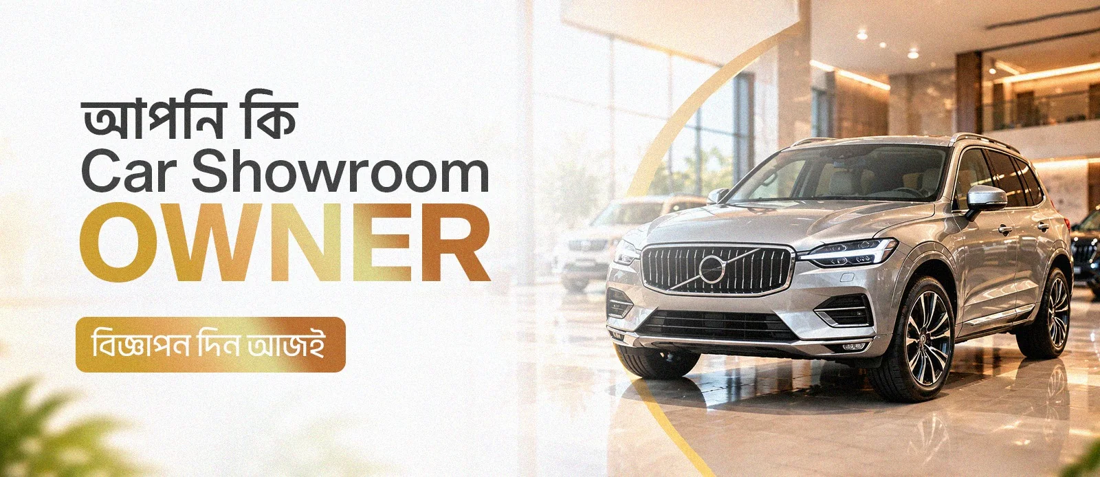 Cars and vehicle listings
